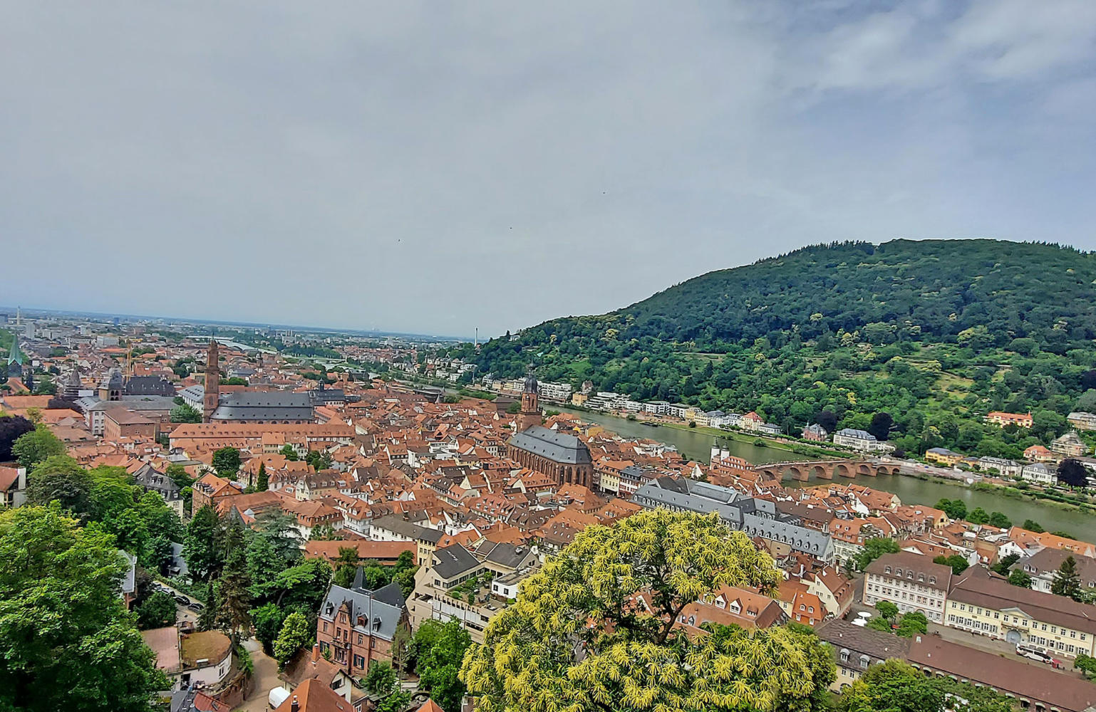 Schloss Heidelberg Heiliggeistkirche Jesuitenkirche